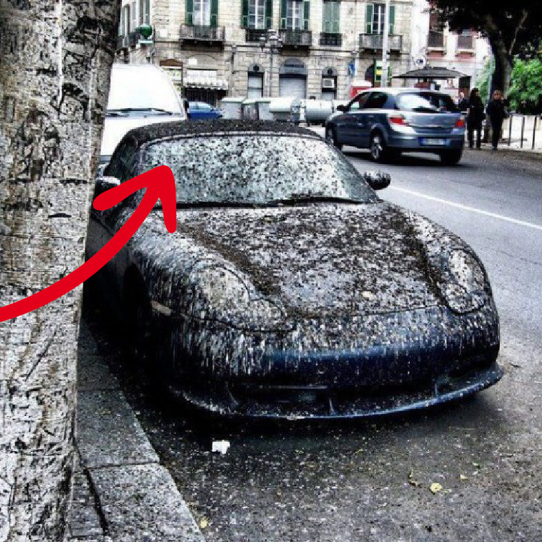 groene aanslag cabrio