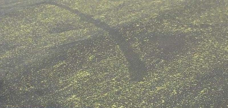 groene aanslag cabrio