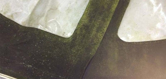 Groene aanslag op uw bootkap voorkomen? (5 tips)