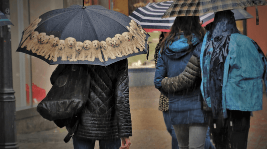 Jas waterdicht maken? Maak elke jas waterdicht!